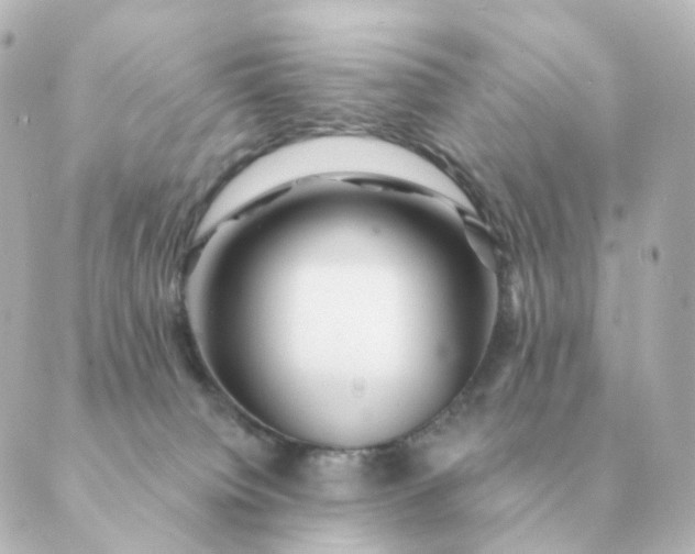 X0000088880084200706221825