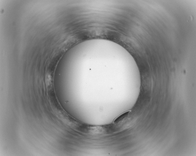 X0000088880087200706221825