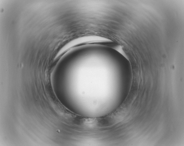 X0000088880088200706221825