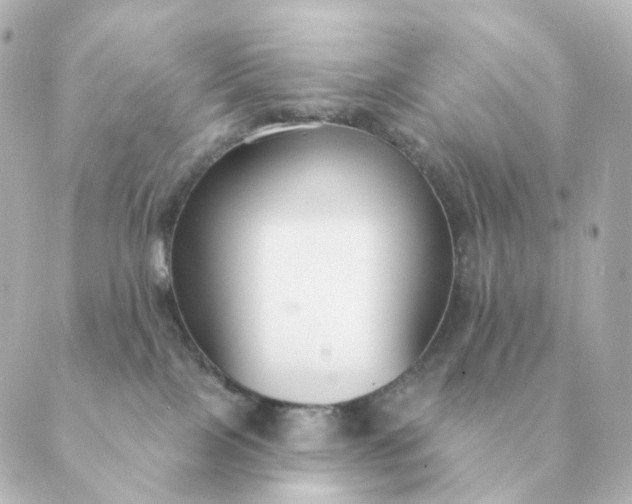 X0000088880089200706221825