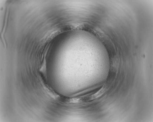 X0000088880090200706221825