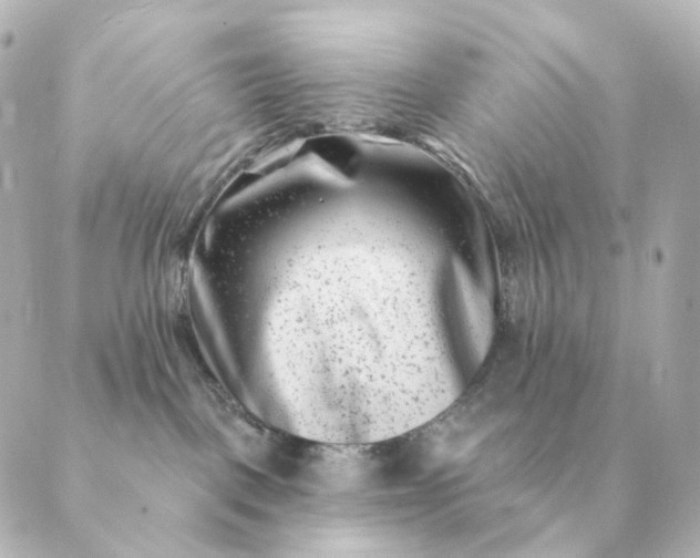 X0000088880093200706221825