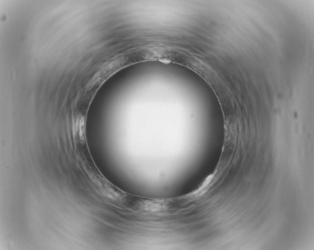 X0000088880094200706221825