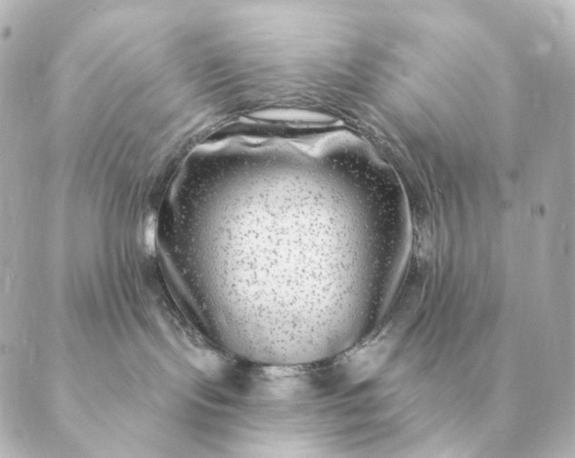 X0000088880095200706221825