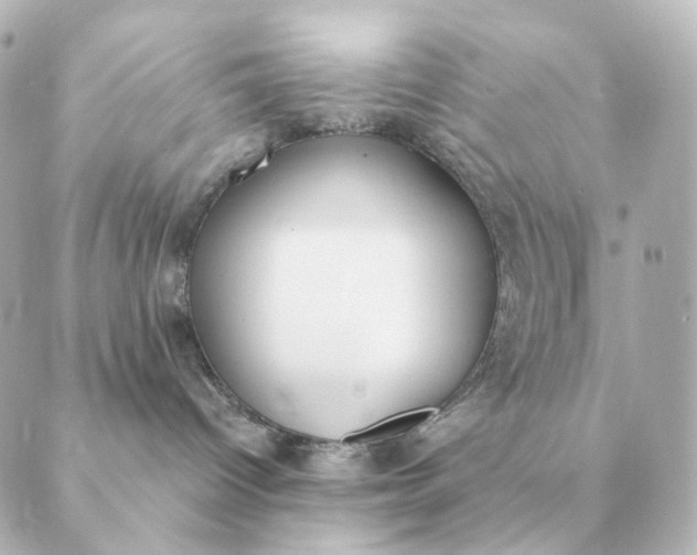 X0000088880096200706221825