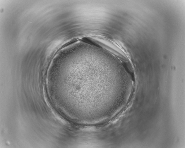 X0000088880097200706221824