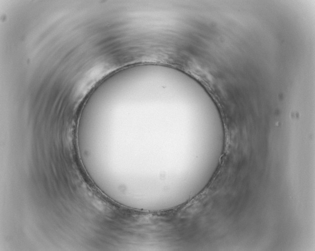 X0000088880098200706221824