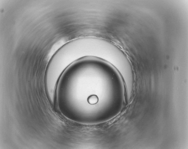 X0000088880099200706221824