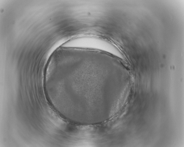 X0000088880100200706221824