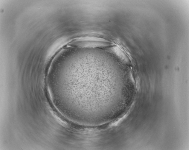 X0000088880101200706221824