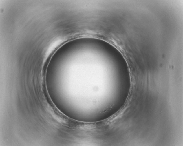 X0000088880102200706221824