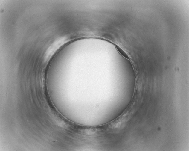 X0000088880103200706221824