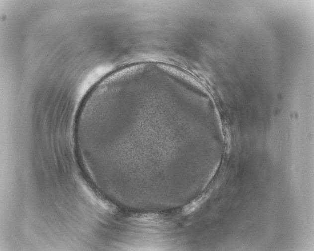 X0000088880104200706221824