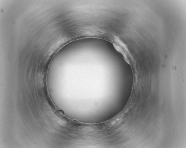 X0000088880106200706221824