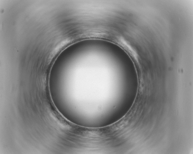 X0000088880107200706221824