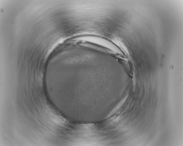 X0000088880108200706221824