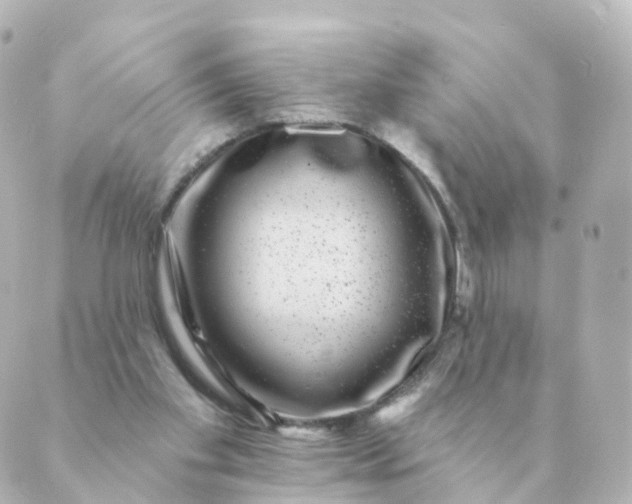 X0000088880109200706221824