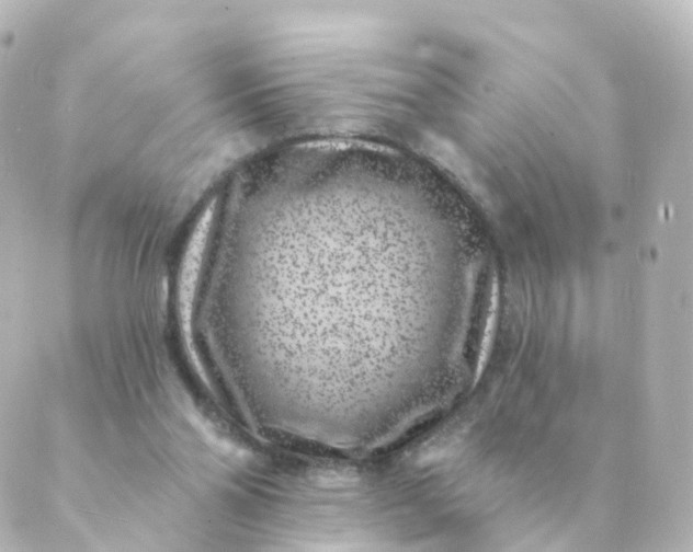 X0000088880110200706221824