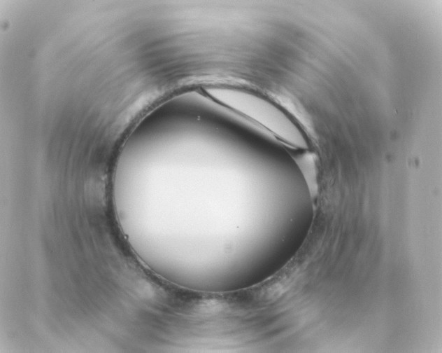 X0000088880111200706221824