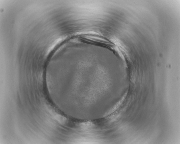 X0000088880112200706221824