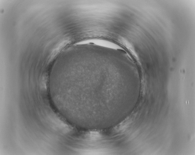 X0000088880114200706221824