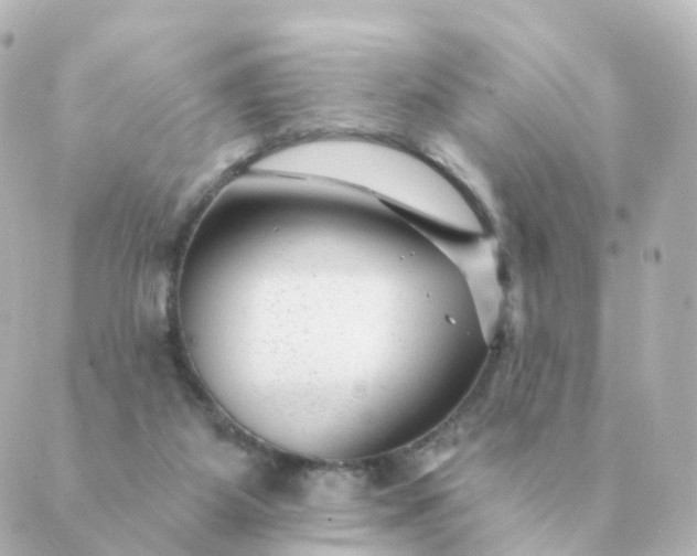 X0000088880115200706221824