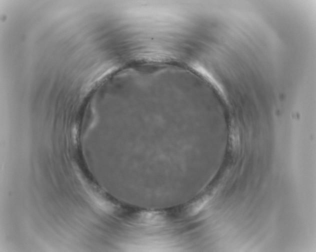 X0000088880117200706221824