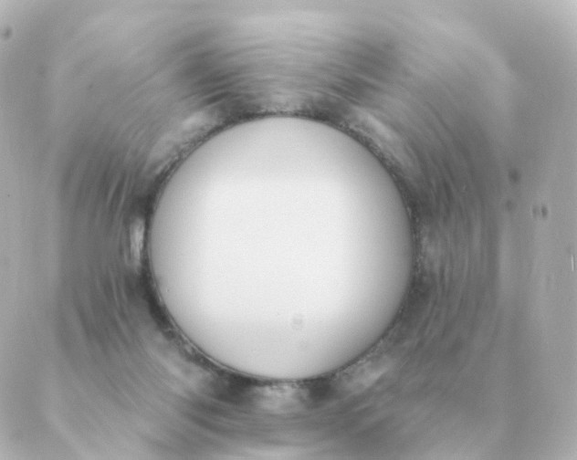 X0000088880118200706221824