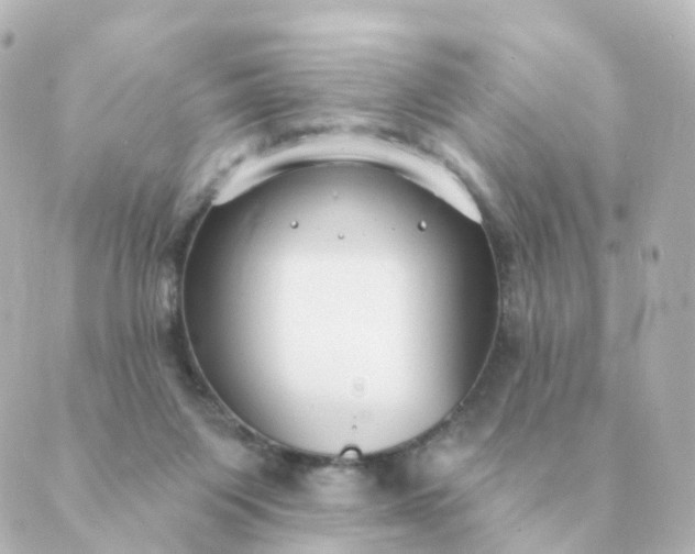 X0000088880119200706221824