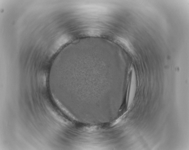 X0000088880120200706221824