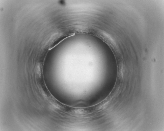 X0000088880121200706221824