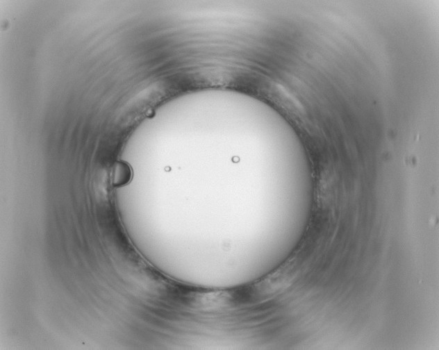 X0000088880122200706221824