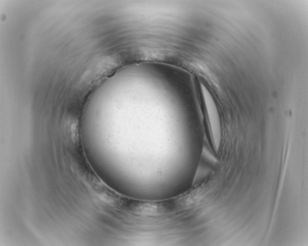 X0000088880123200706221824