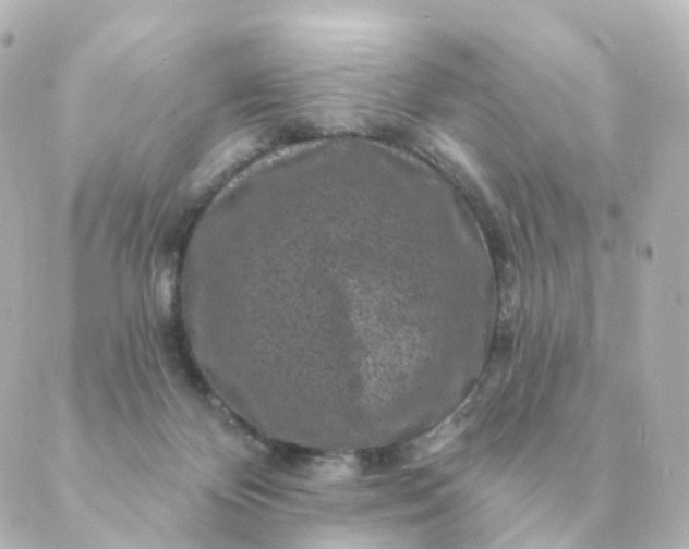 X0000088880124200706221824