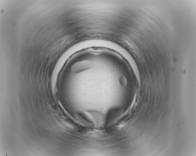 X0000088880125200706221824