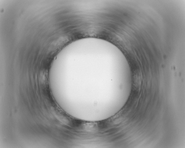 X0000088880126200706221824