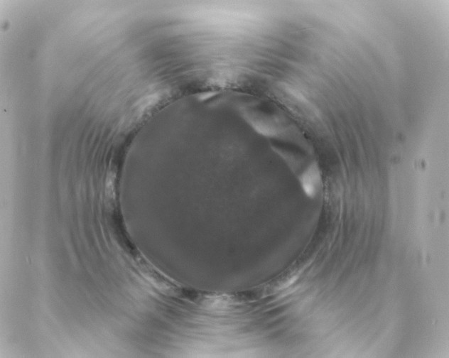 X0000088880127200706221824