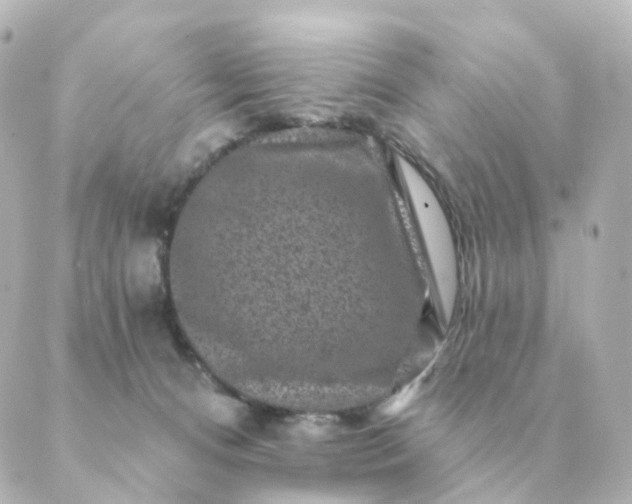 X0000088880128200706221824