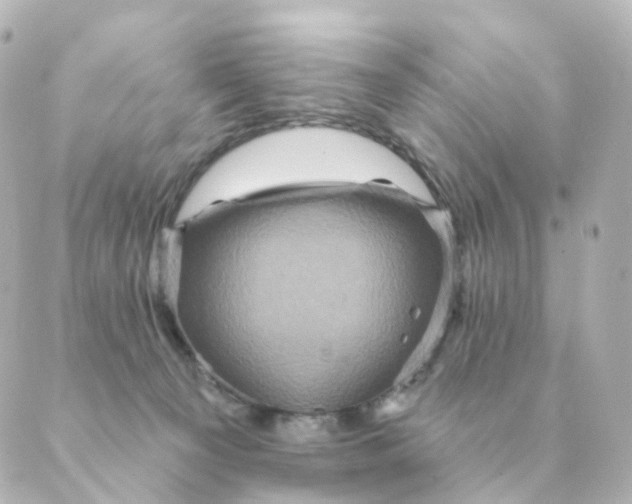 X0000088880129200706221824