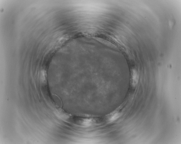 X0000088880130200706221824