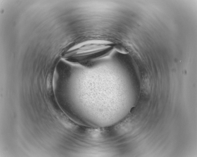 X0000088880131200706221824