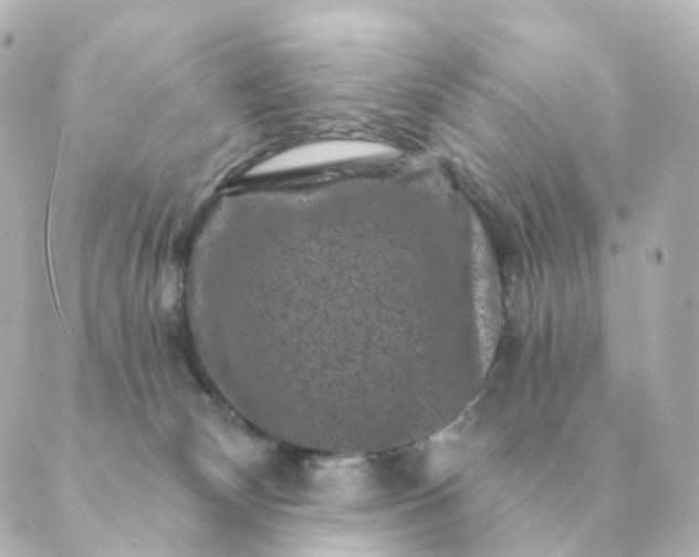 X0000088880132200706221824