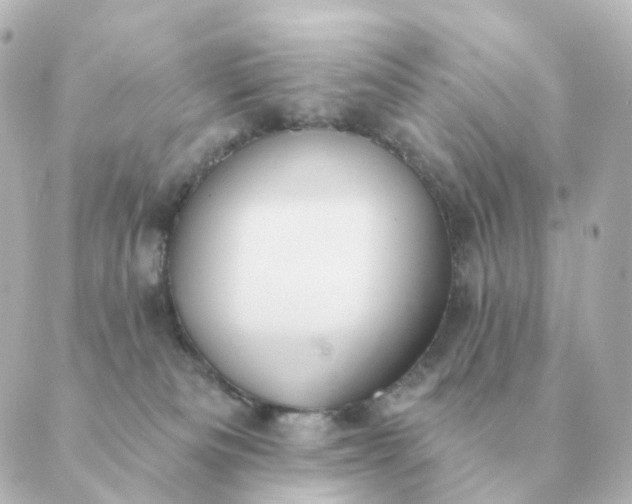 X0000088880133200706221824