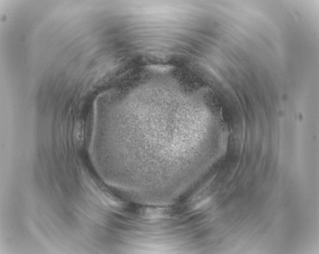 X0000088880134200706221824