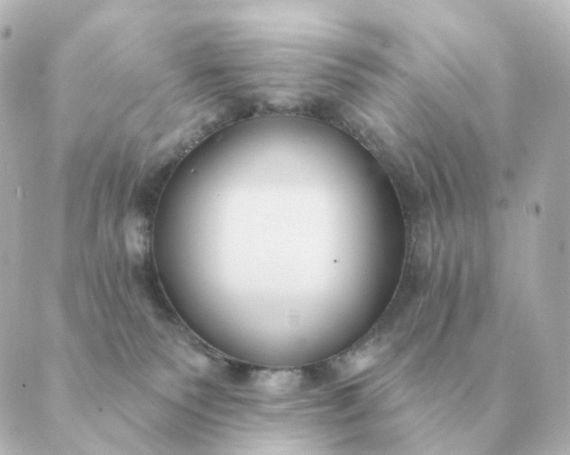 X0000088880135200706221824