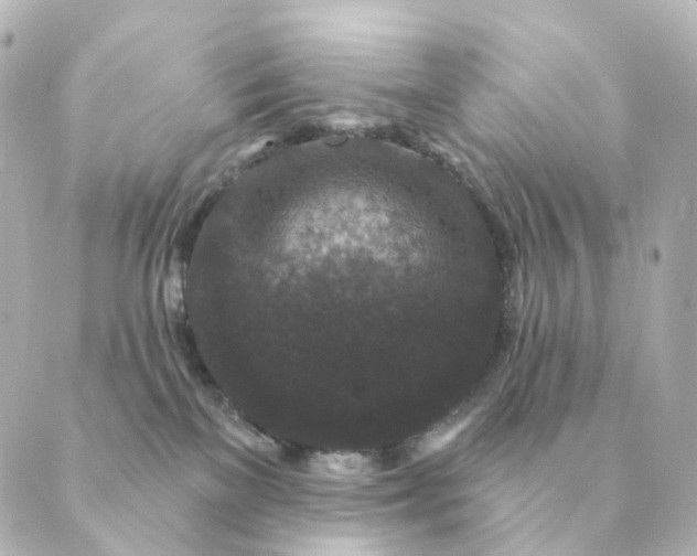 X0000088880137200706221824