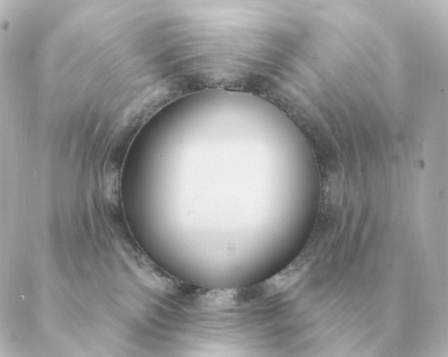 X0000088880138200706221824