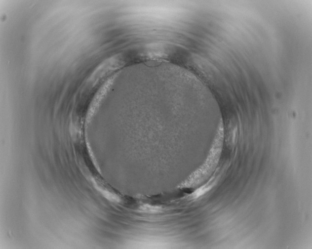 X0000088880140200706221824