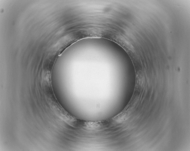 X0000088880141200706221824