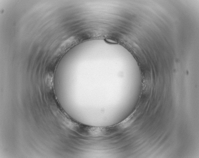 X0000088880142200706221824